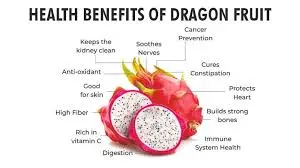Dragon Fruit Benefits