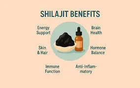 Shilajit Benefits