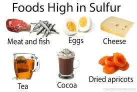 Sulfur Burps